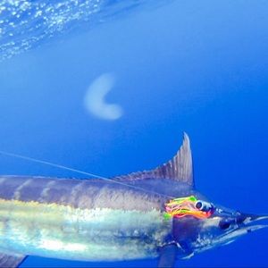 Meet your Posher, Jeffrey